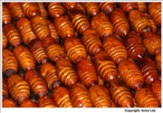 Donghuamen food market 2